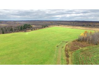Property photo 10 - REAL ESTATE AUCTION - 1,428+/- ACRES OFFERED IN 10 TRACTS IN PRICE CO., WI